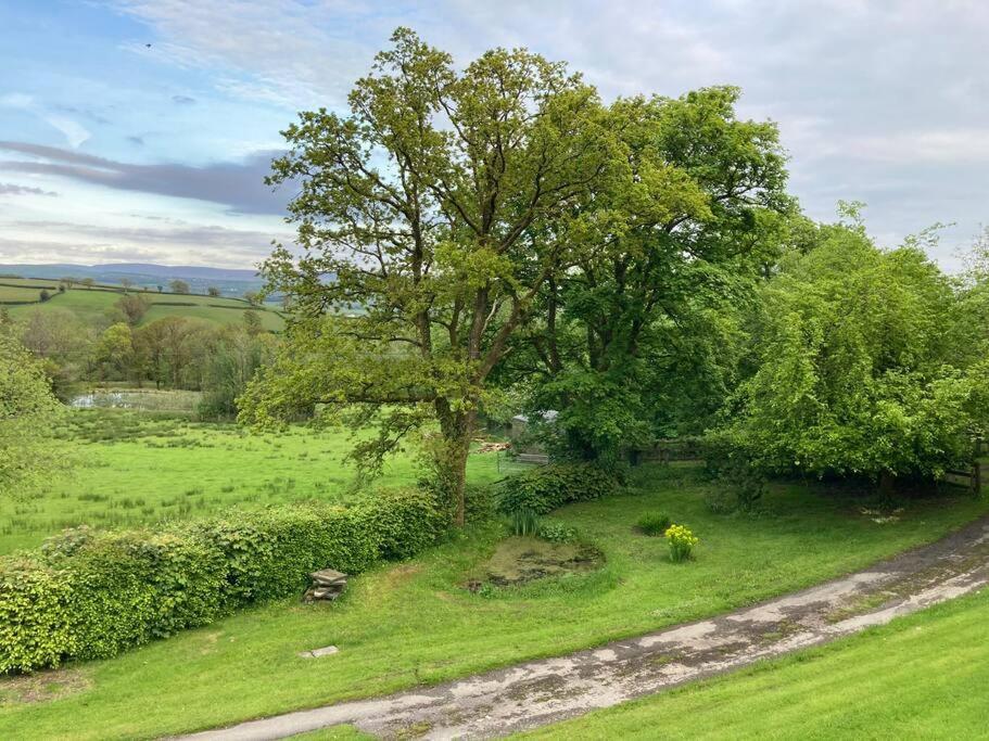 Beautiful Garden Cottage, Close To Llandeilo. Hoel-galed Exterior foto